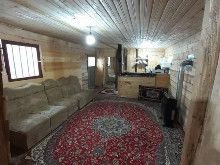 جنگلی تنها