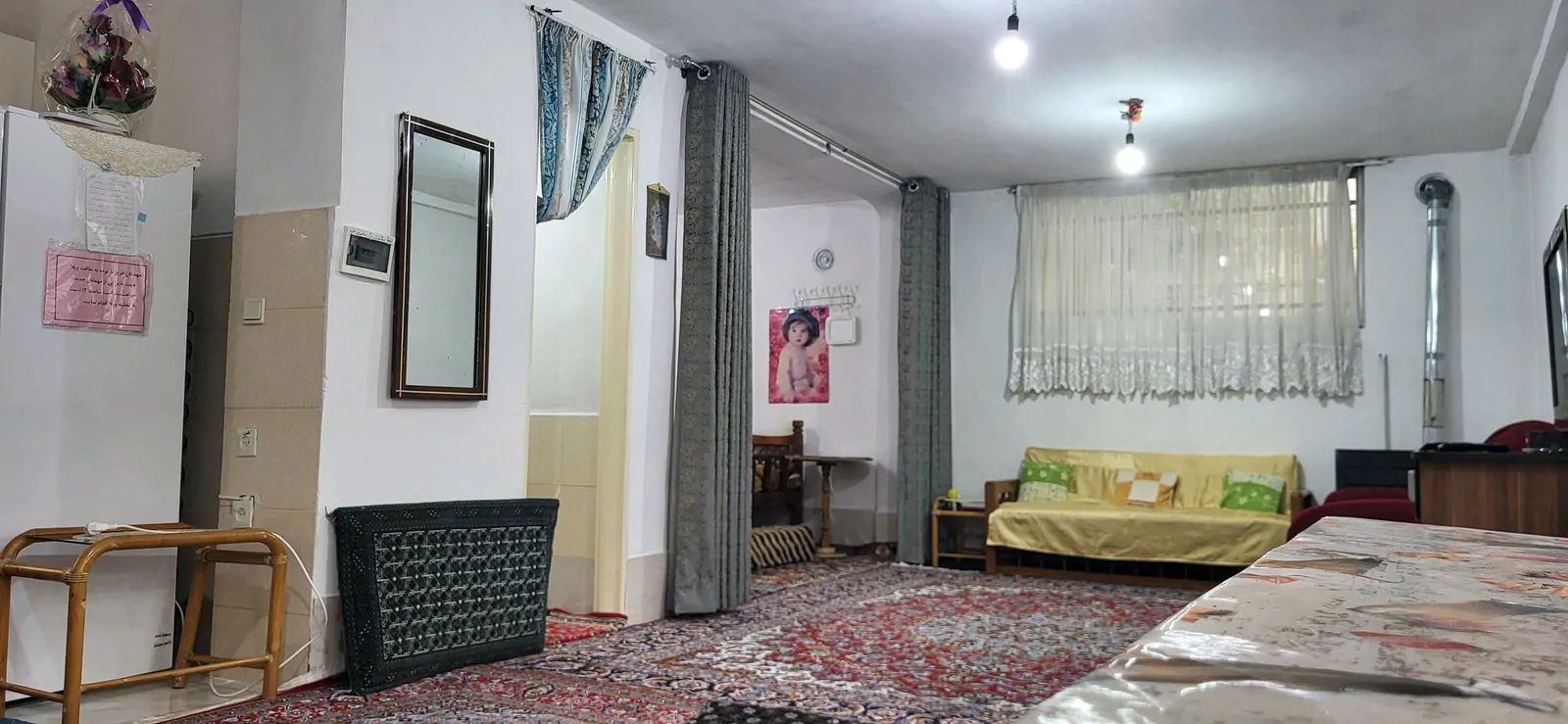 جنگلی راور