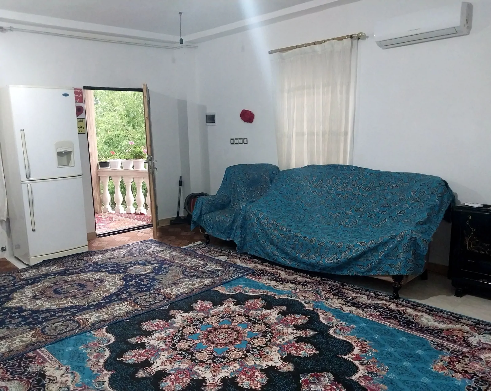 جنگلی فاطیما (2)