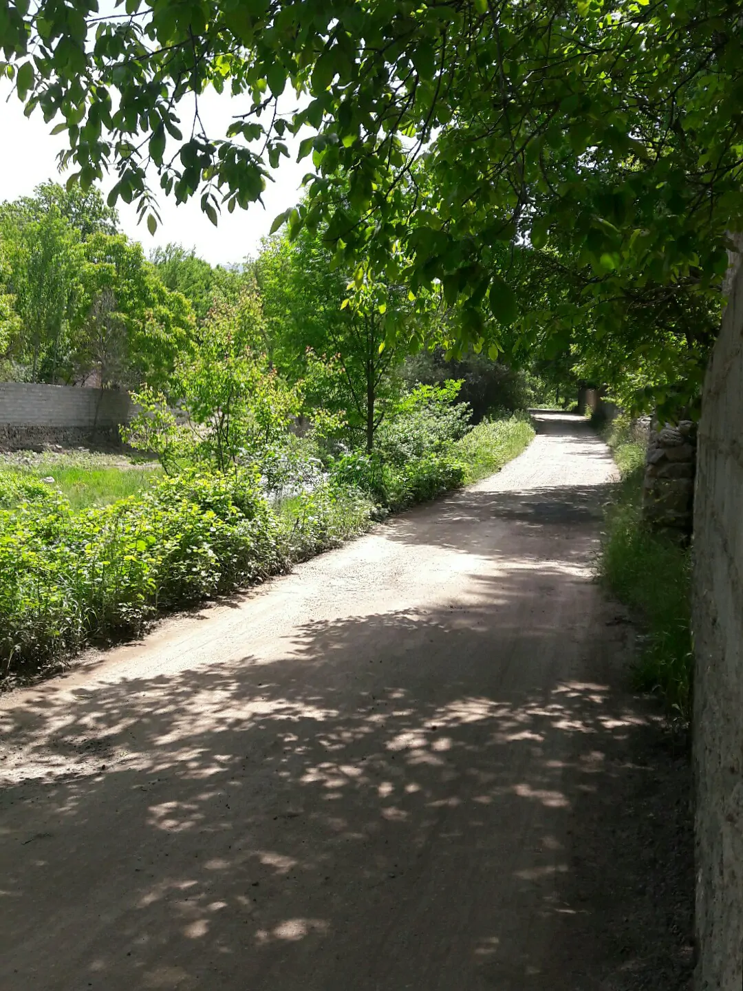 نجفیان (همکف)