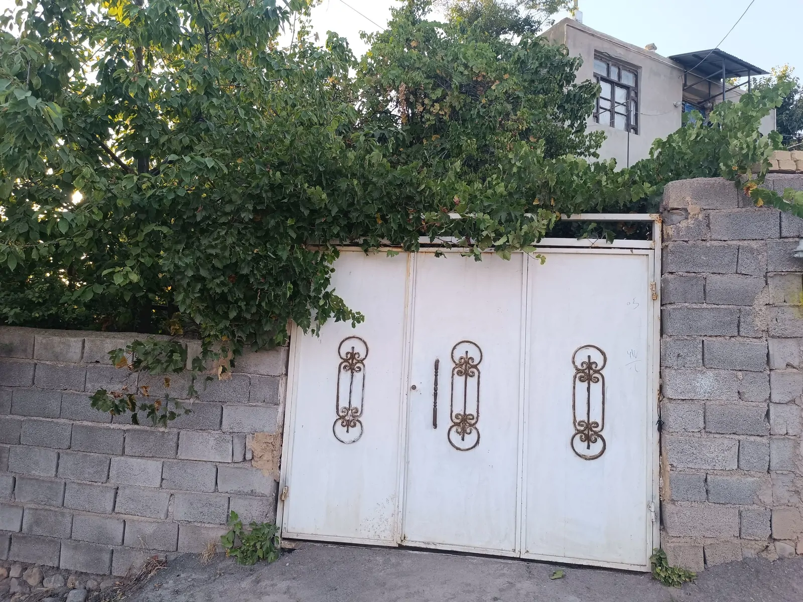 باغ زیبا