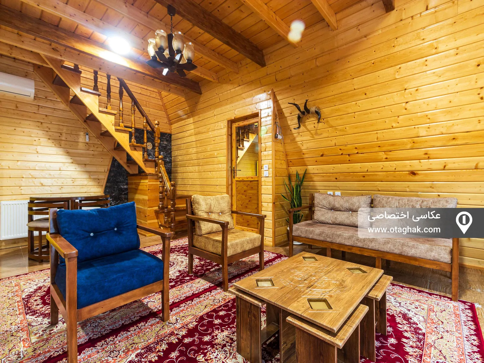 سوئیسی ویسادار (۲)