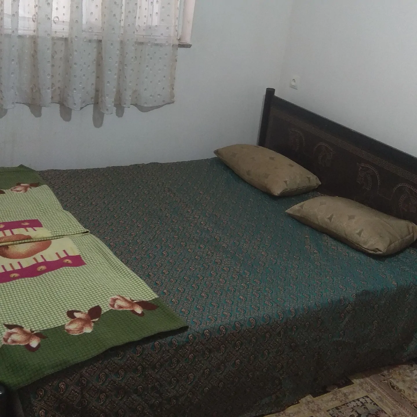 طالبی (1)