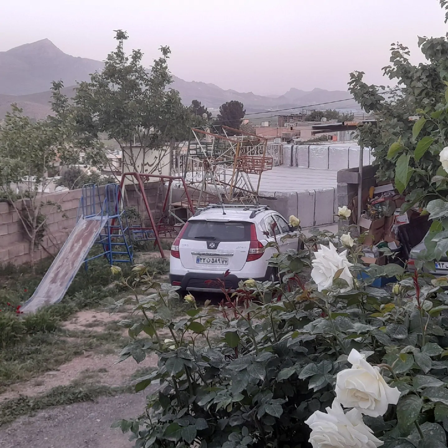 فراز بیستون (1)