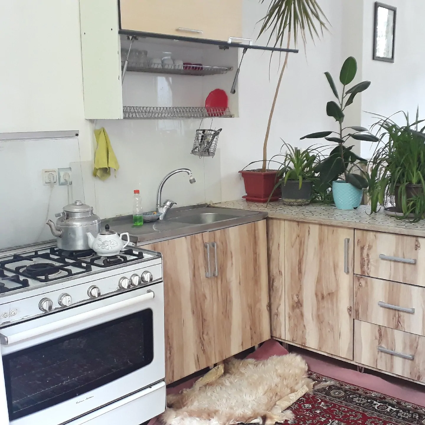 ویلایی ارسباران