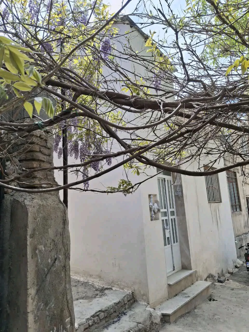 کوهستانی دلنواز