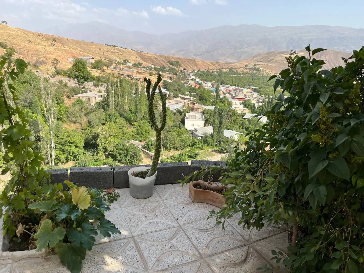 ویلایی رز