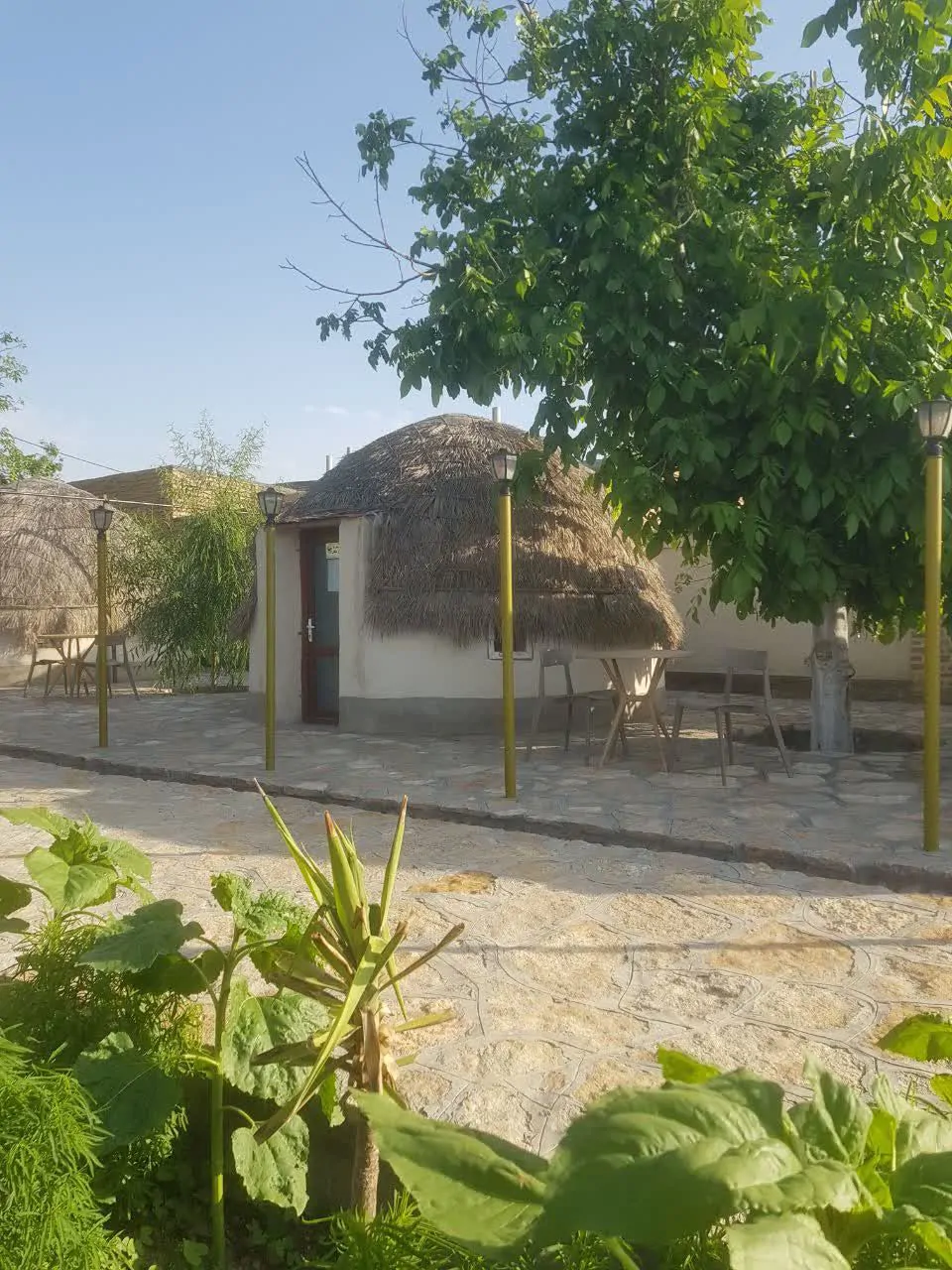 روژان (کپر آذزبایجان) در گلبهار