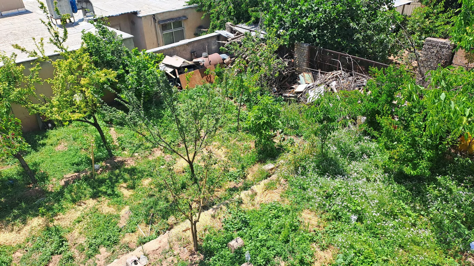 درگاهی (3)