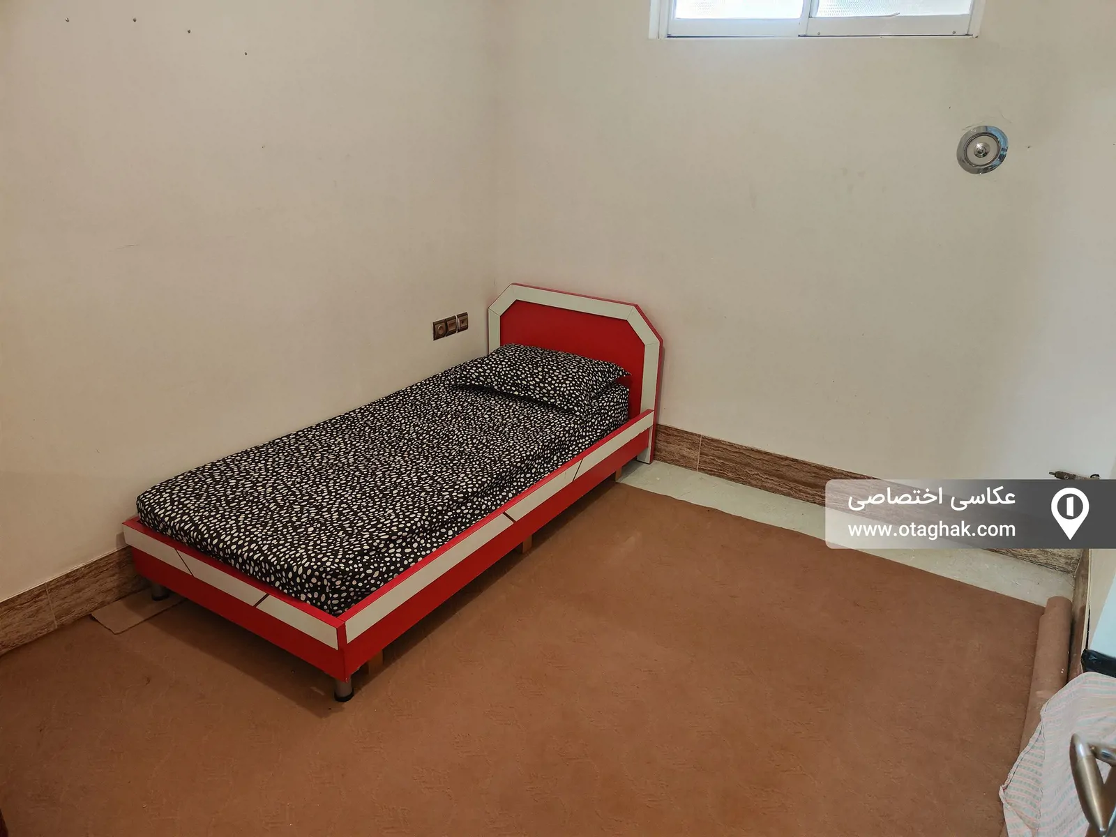 سرو نزدیک دریا