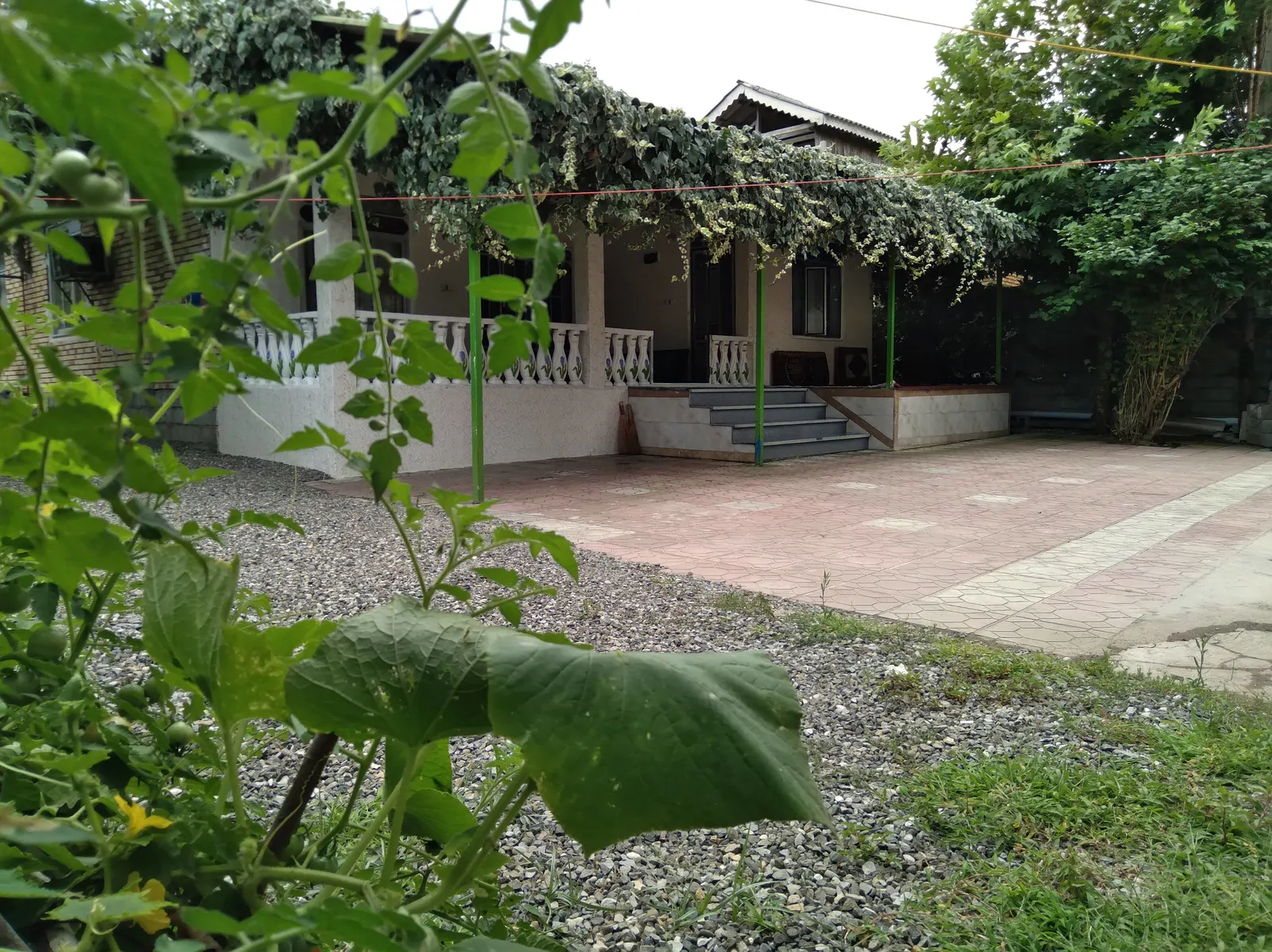 سبز کاسپین