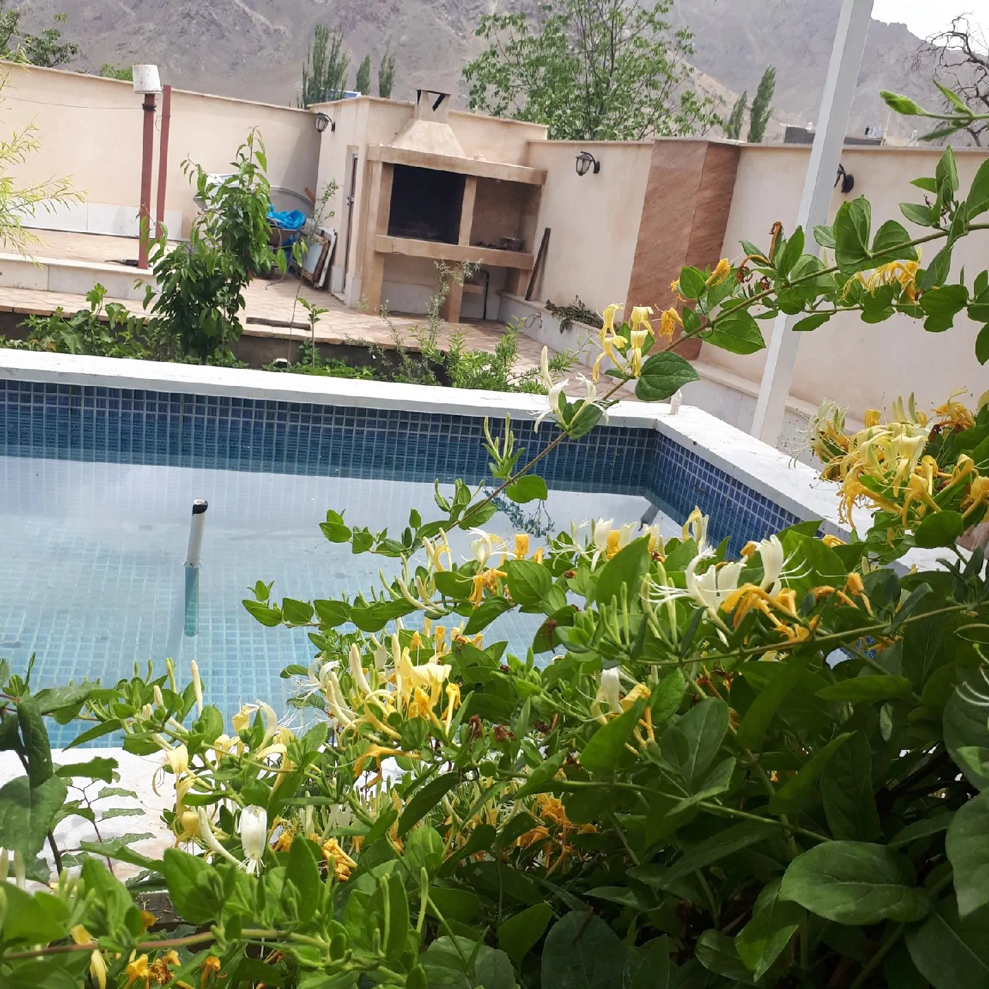 ویلایی گلابدون