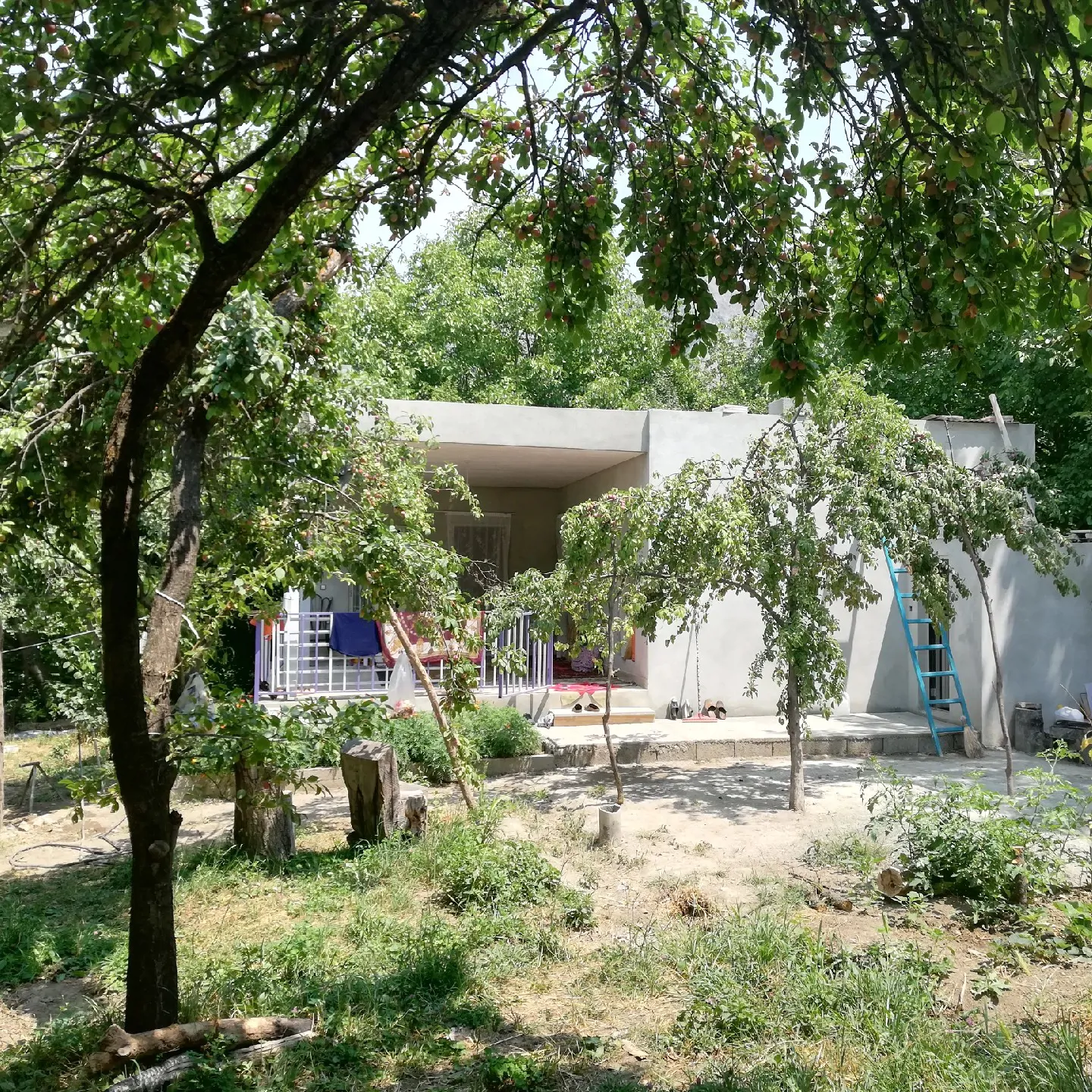 دومان‌ 