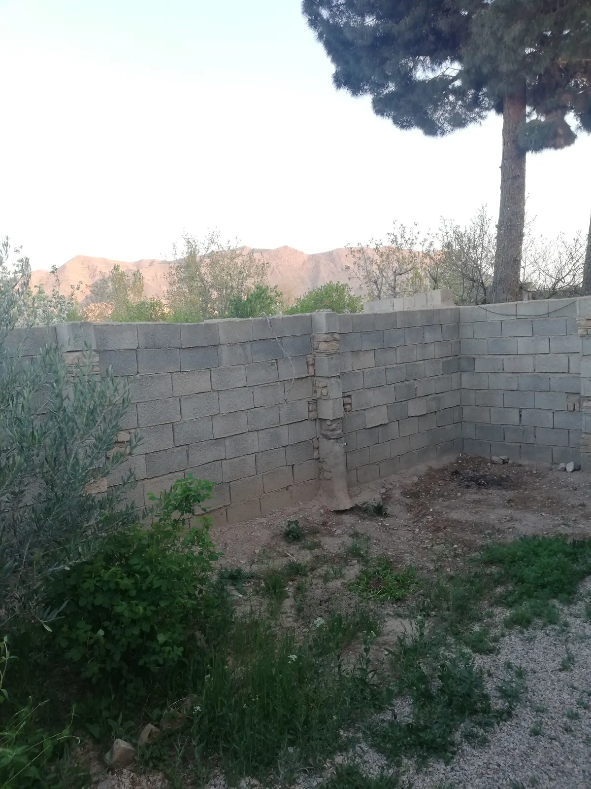 ویلایی ترنج