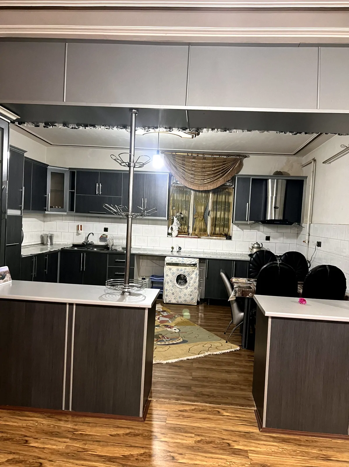 باغ امیر آباد نو گل رز