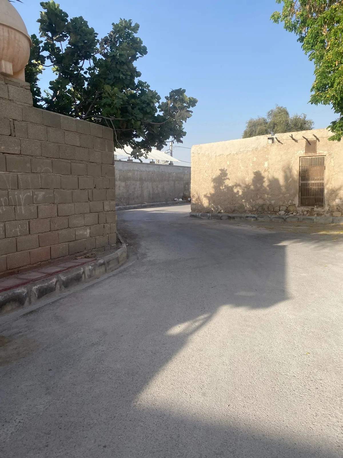 امیر