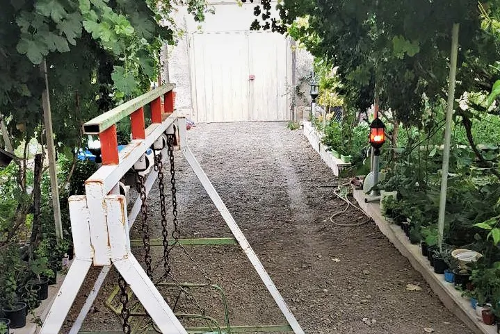 سرلک