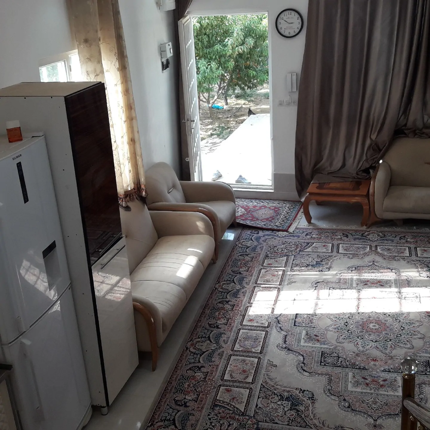 باغ باغموری
