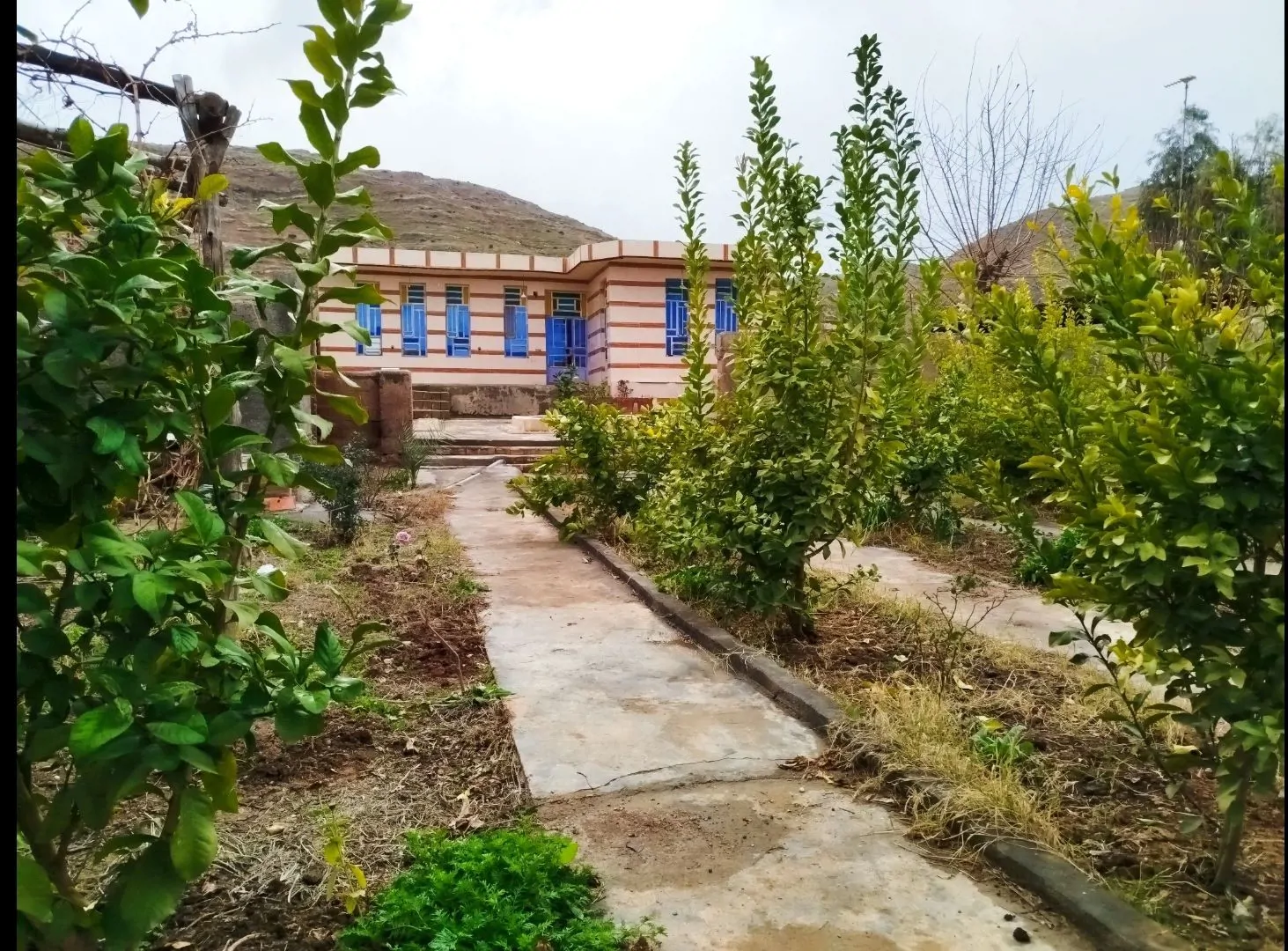 سکه سان