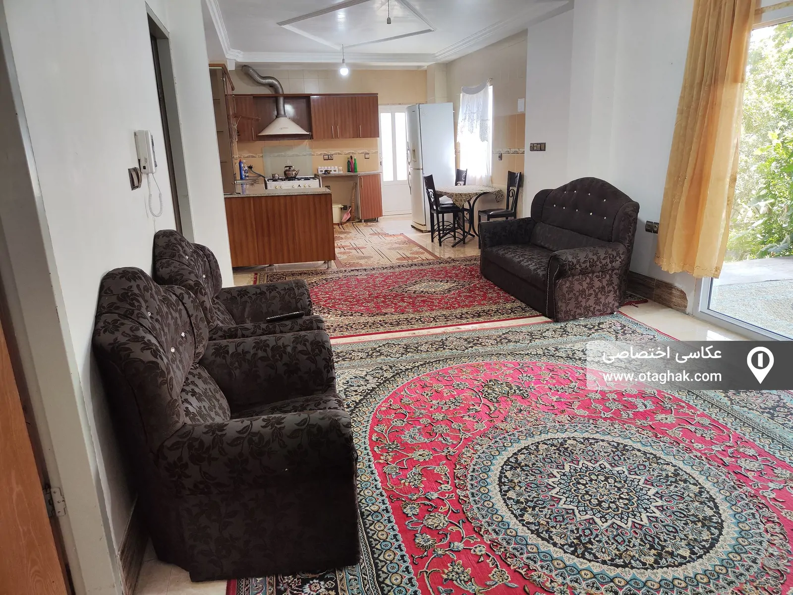 سرو نزدیک دریا