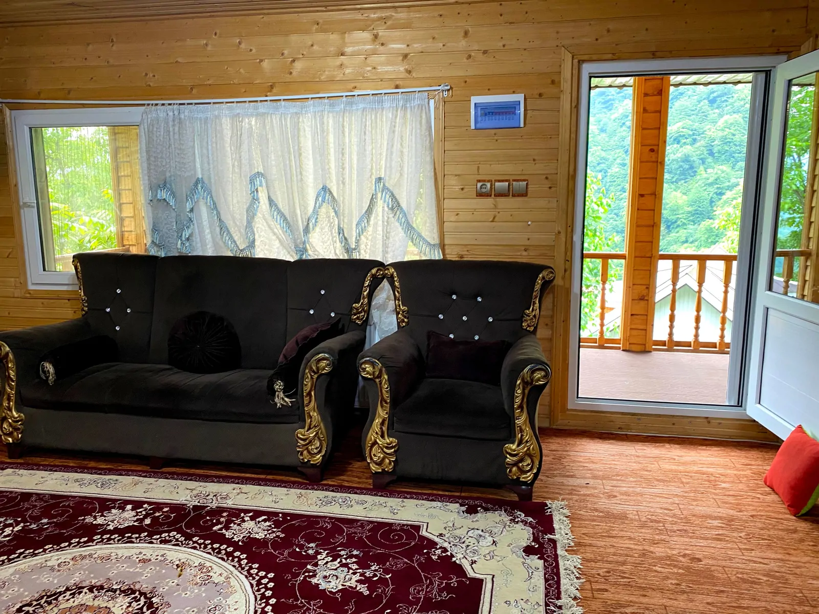 جنگلی اسب ریسه نزدیک رودخانه و ییلاقات