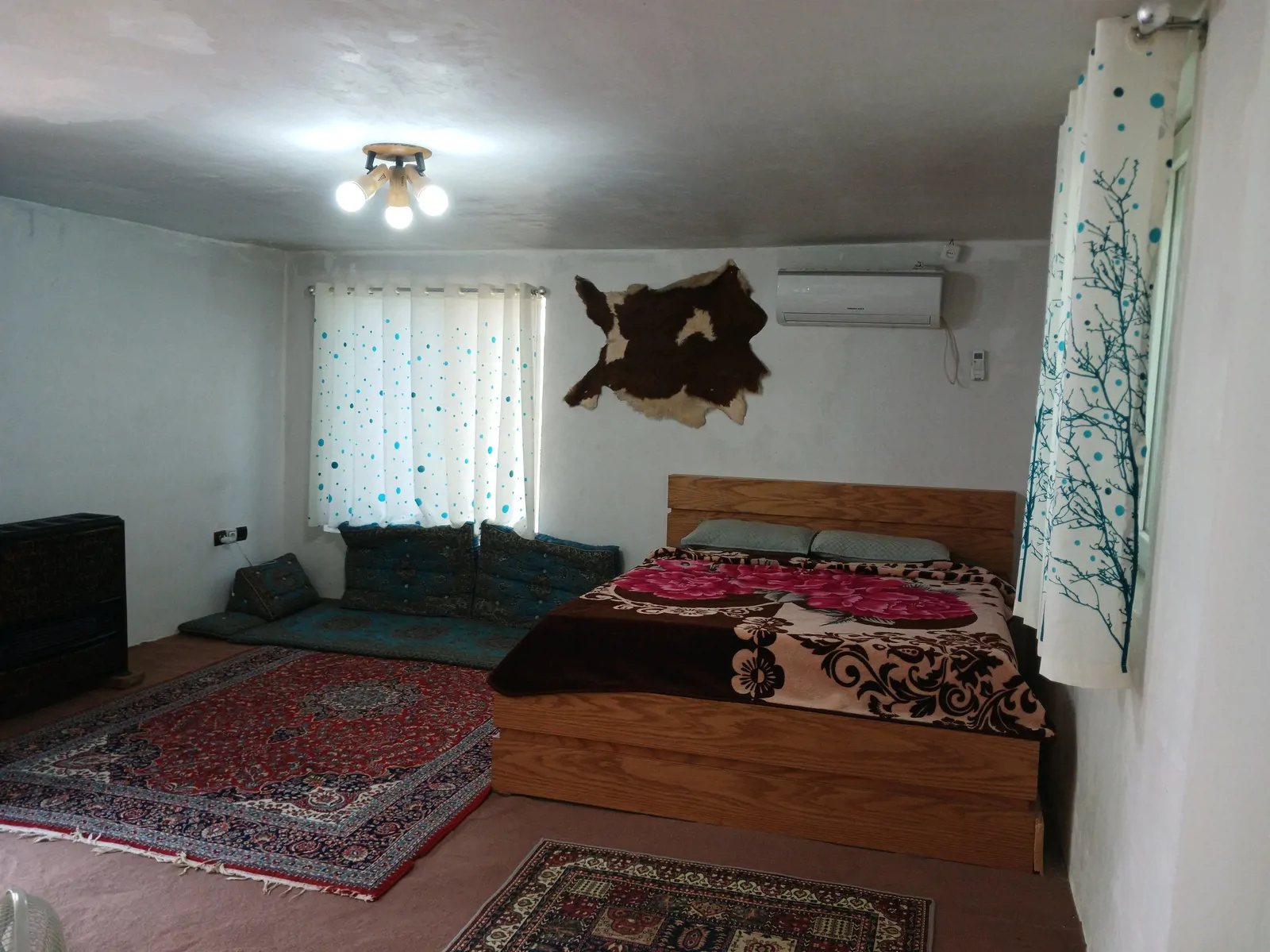 علیدوست