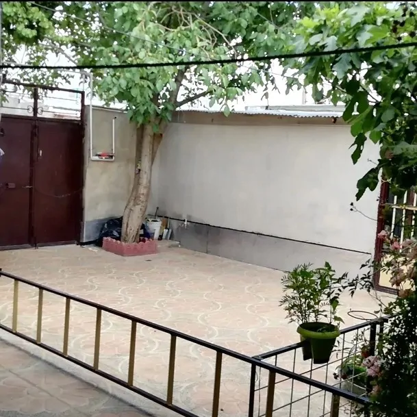 دیدار