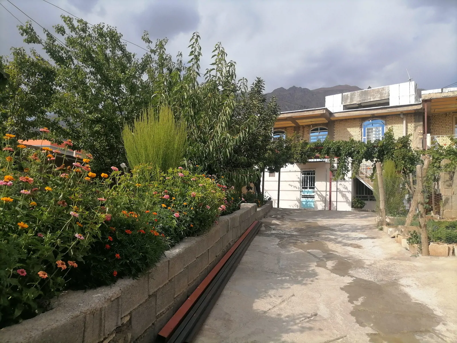 ویلایی سی سخت