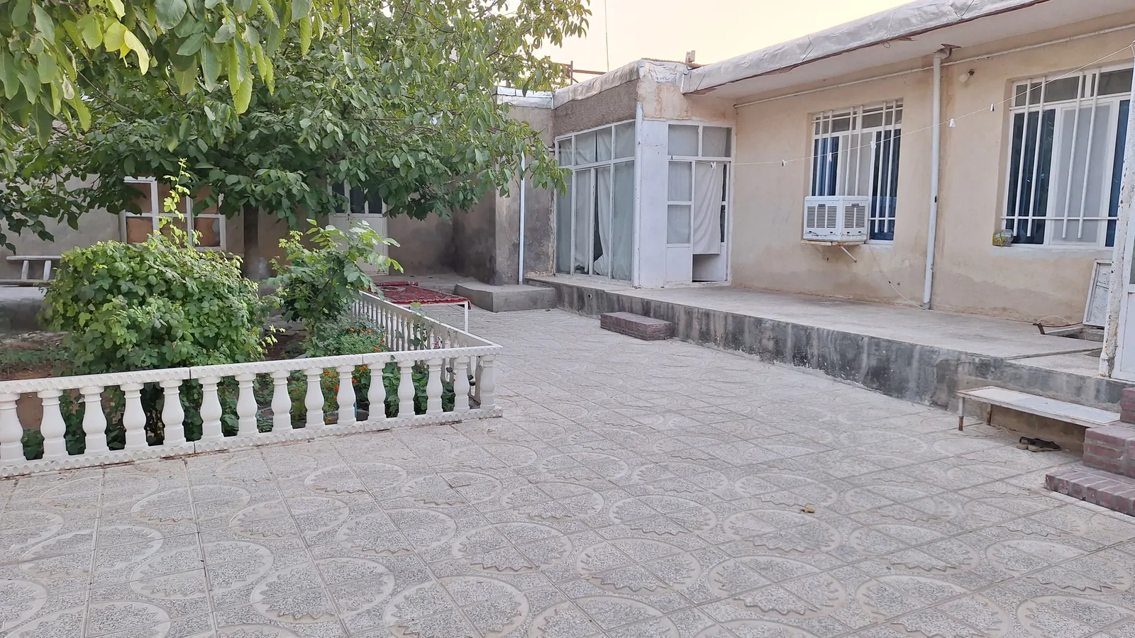 شقایق غار علیصدر