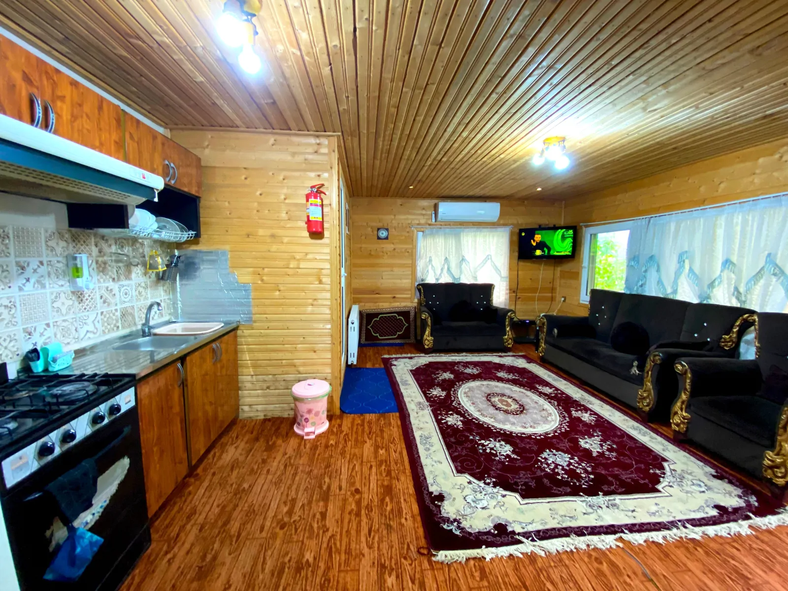 جنگلی اسب ریسه نزدیک رودخانه و ییلاقات