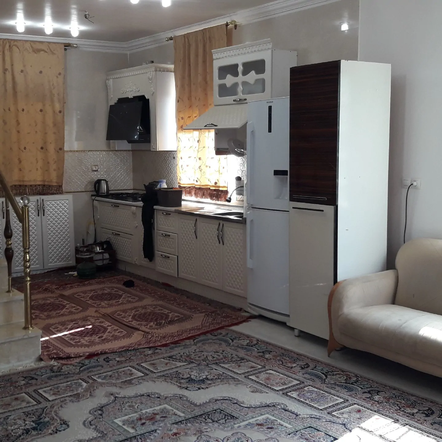 باغ باغموری