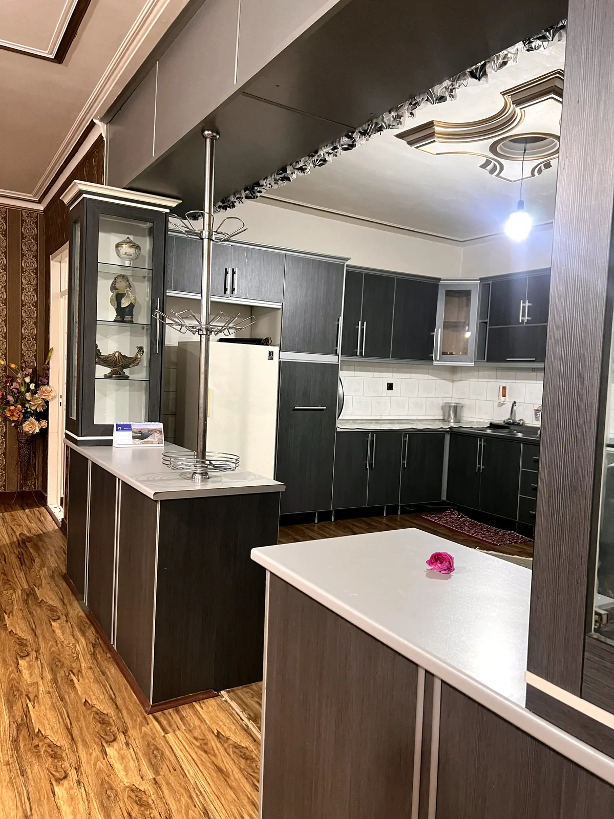 باغ امیر آباد نو گل رز