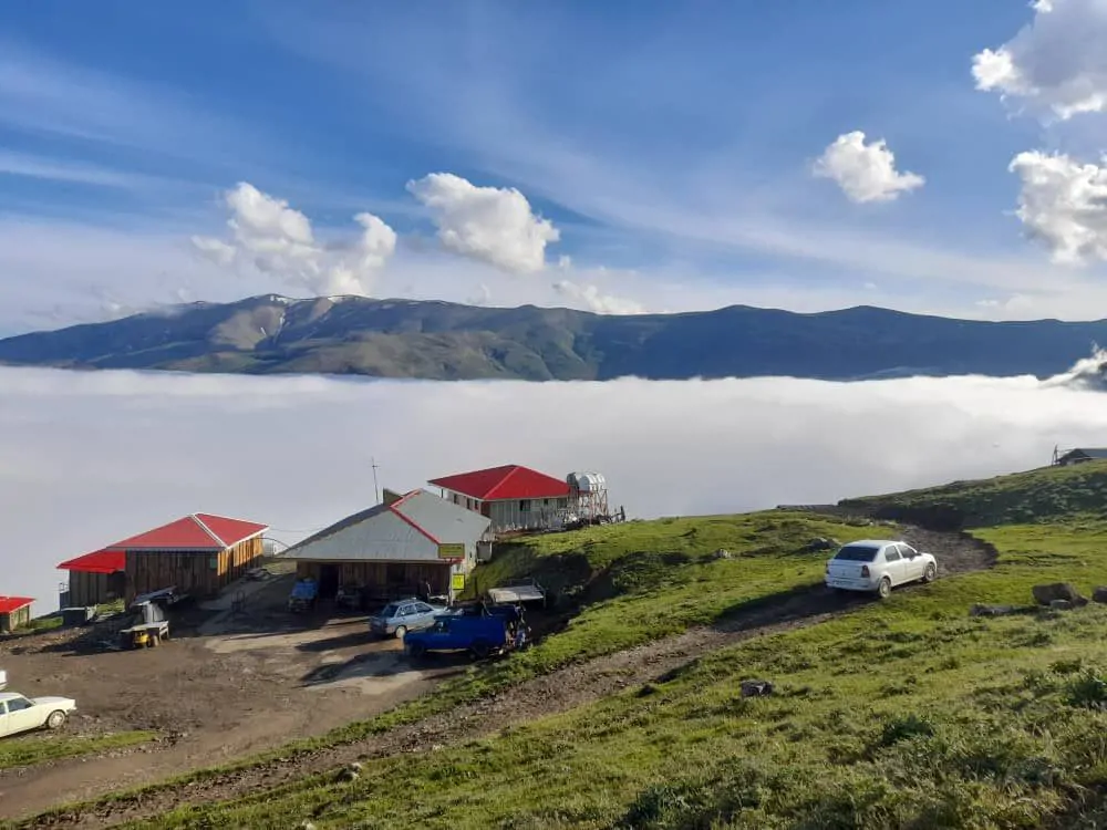 جنگلی شنبه راه (اقیانوس ابرها)