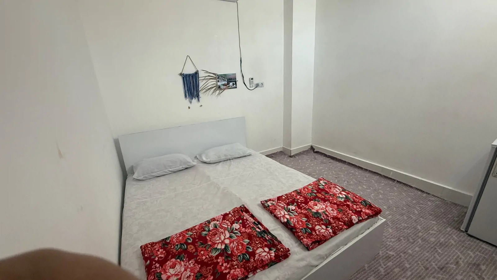 بومگردی ورجی (نخیلو) با صبحانه رایگان