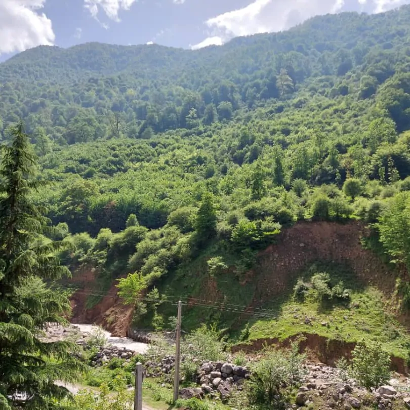 مبله نگین (۳)