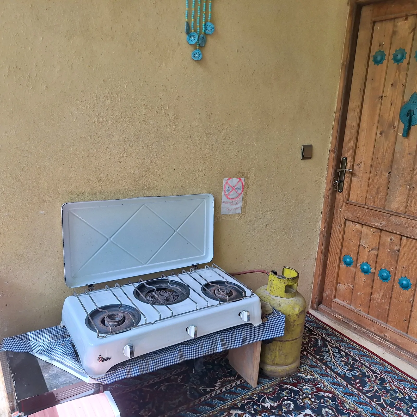 جنگلی کندلوس لب رودخانه (۱)