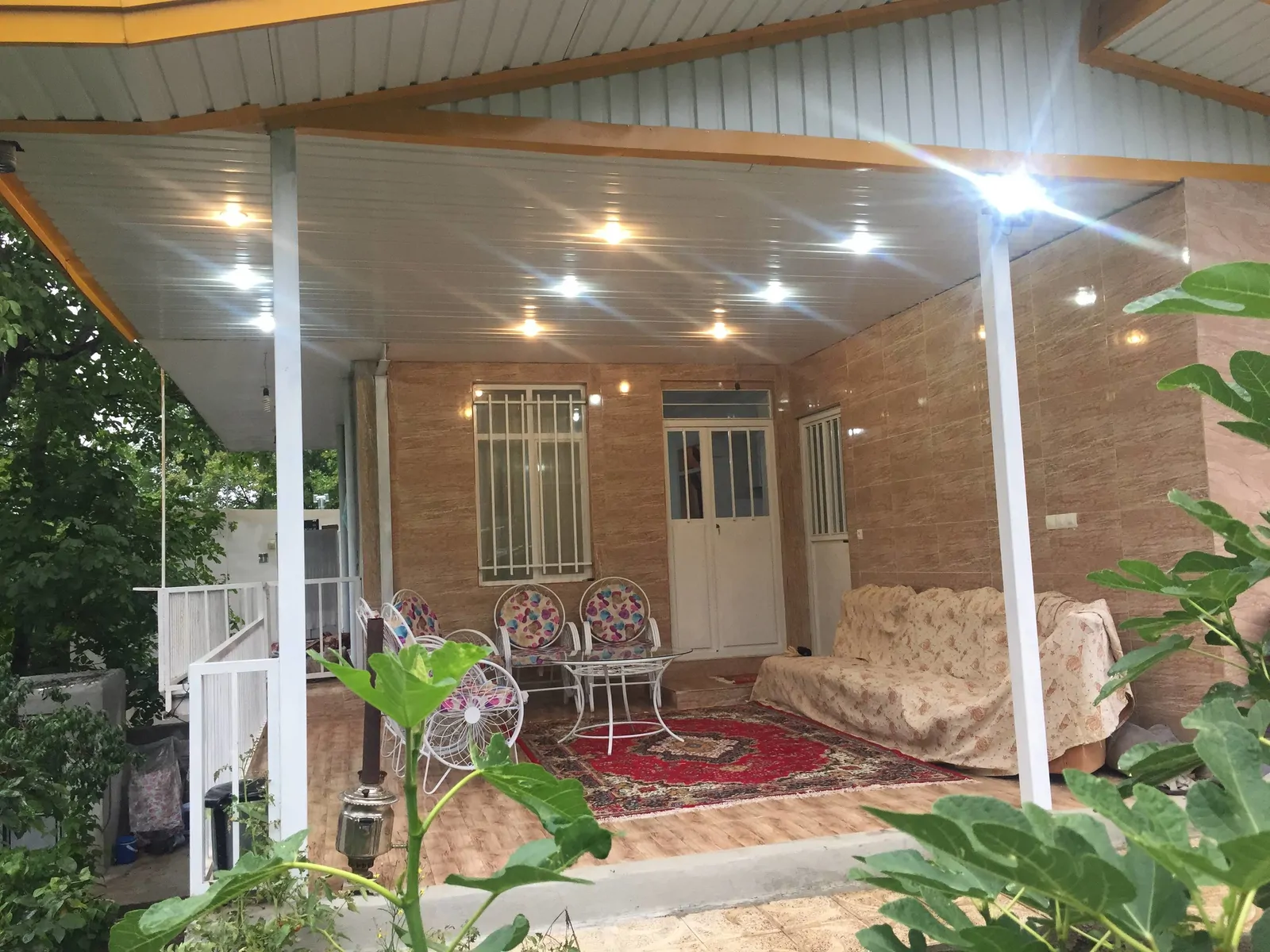  جنگلی محمدی 