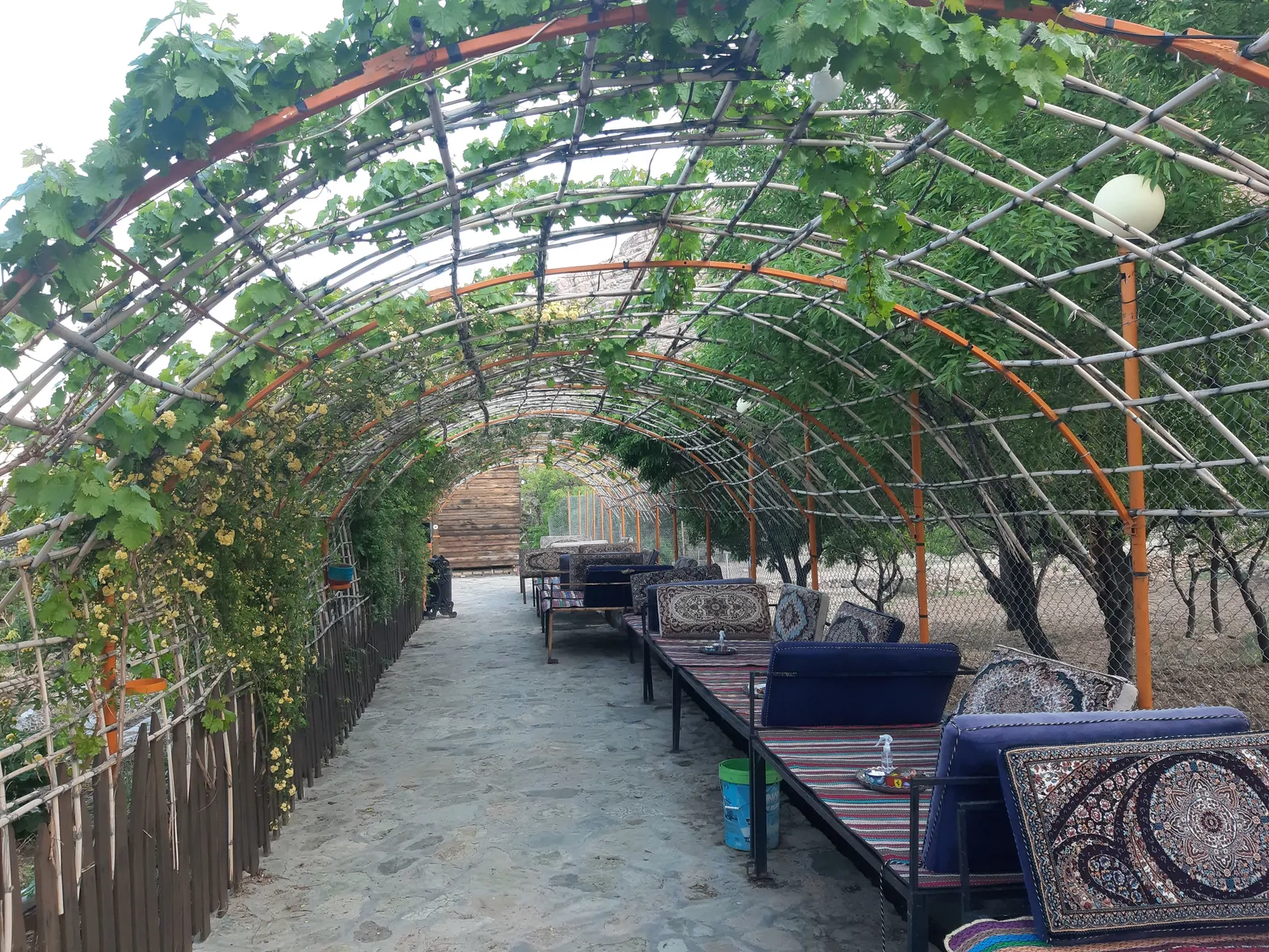 کوهستانی آبشار