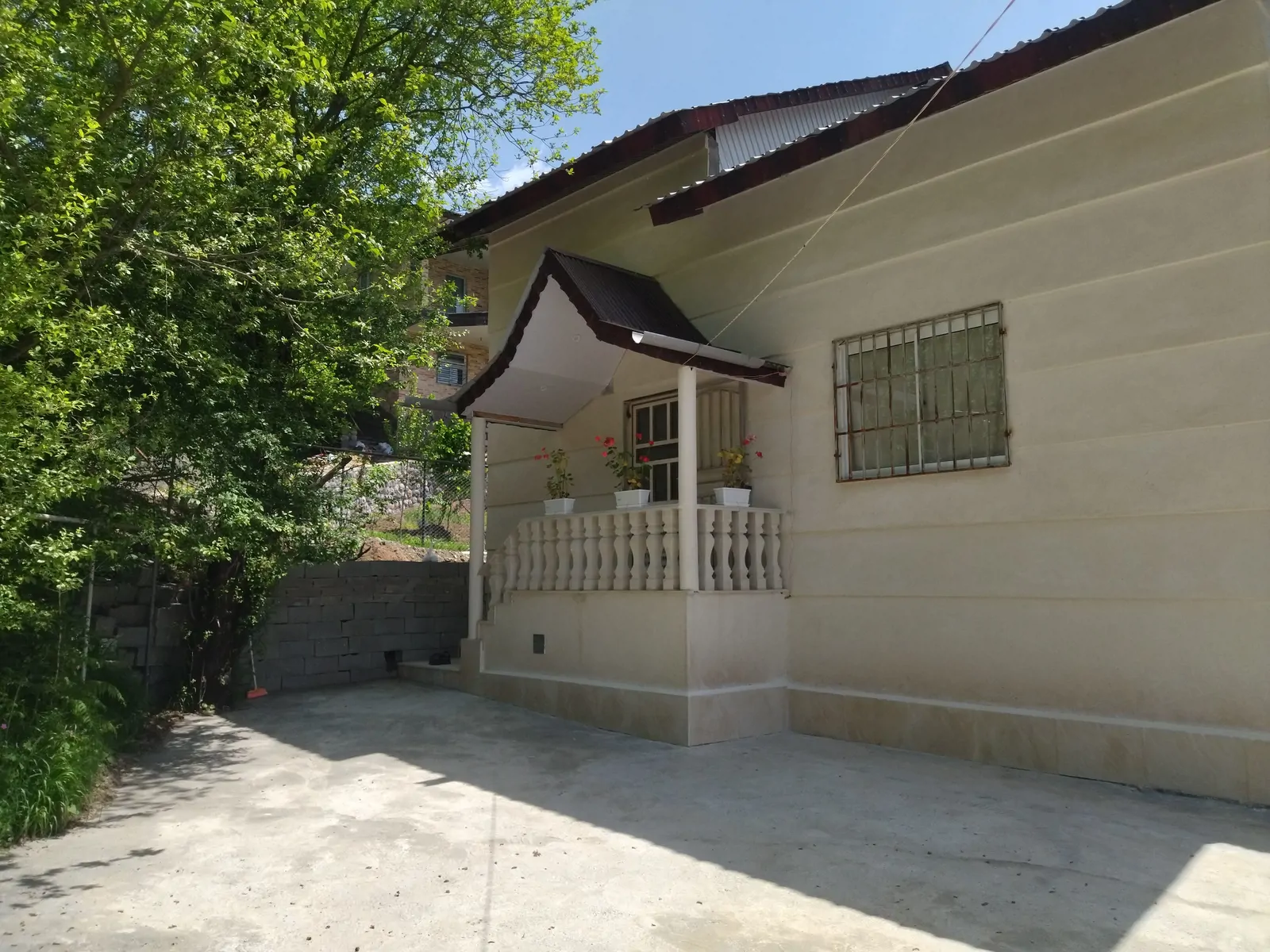 جنگلی راه چشمه