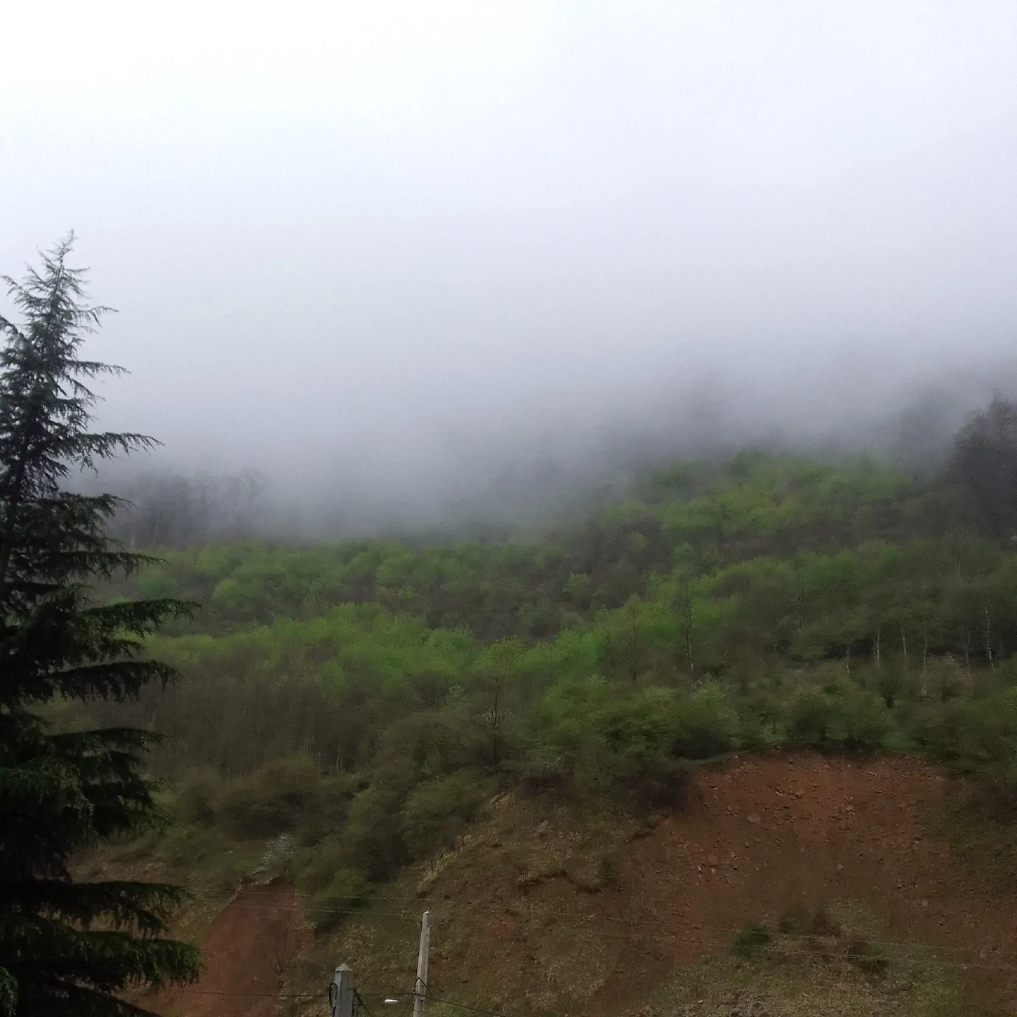 مبله نگین (۲)