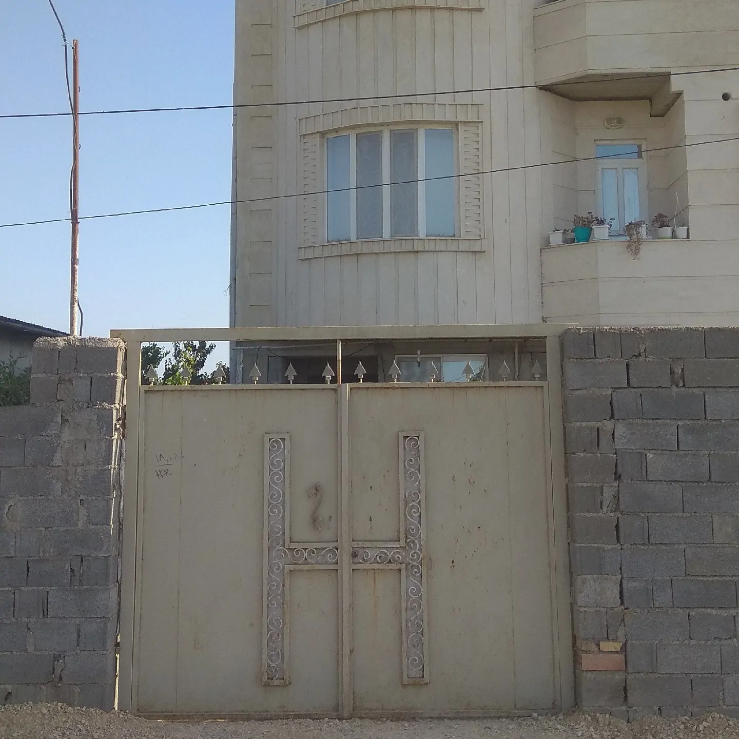 طالبی (1)