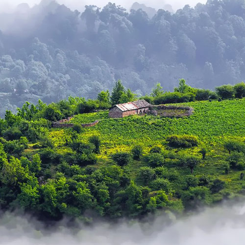 ویلا فیلبند