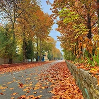 کردان