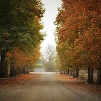 سهیلیه