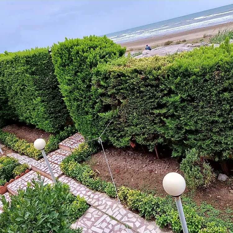 تصویر ۱ - ویلا ساحلی نیکی در  فریدون کنار