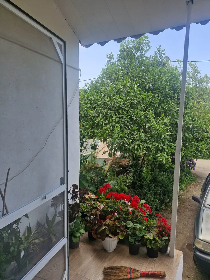 تصویر ۱ - ویلا لاکچری ویلا فوق العاده در  کلاچای