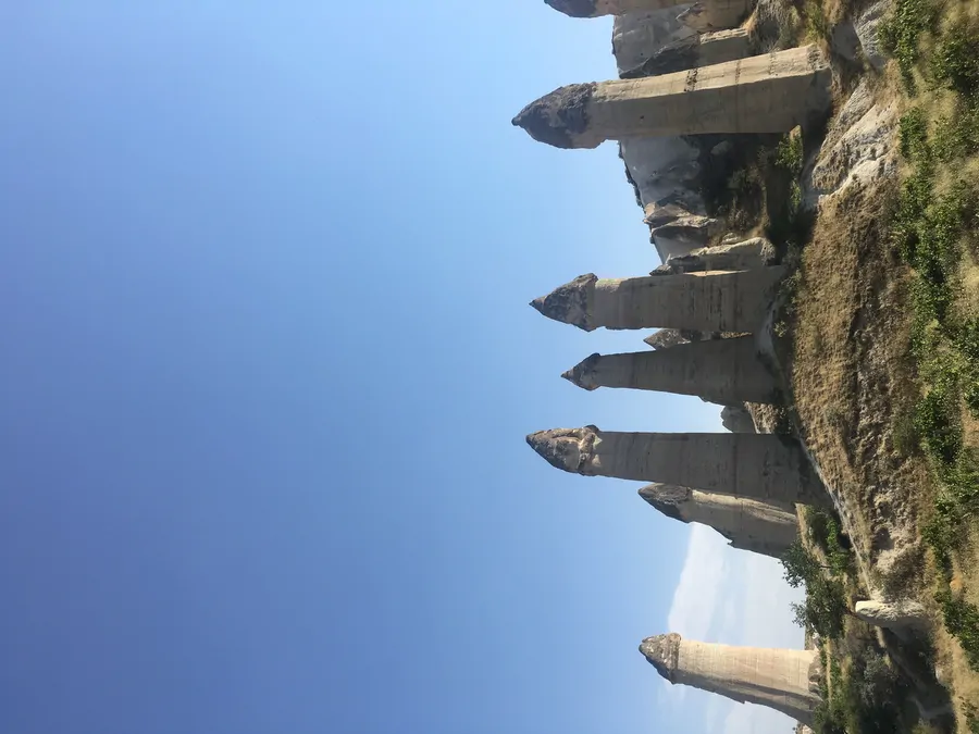 تصویر ۱ - روستایی و عشایری تست شده در  اسفراین