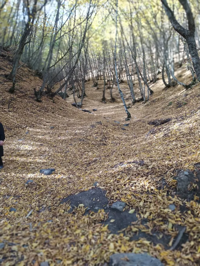 تصویر ۱ - ویلا ویلای روستایی دنج‌وارام وتمیز در  کلیبر