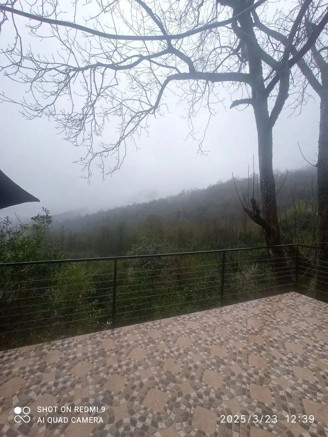 تصویر ۱ - کلبه کلبه جنگلی با جکوزی بزرگ در  رامسر