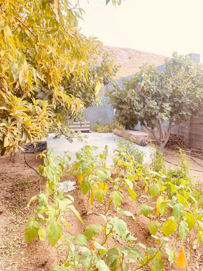 تصویر ۱ - ویلا خانه باغ استخر دار در شیراز